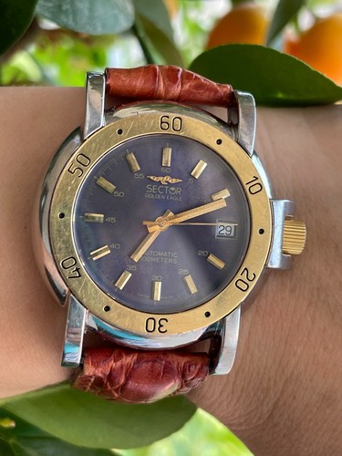 Sector golden eagle watch - sector,