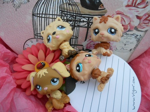 Lot petshop asbro 4 - 22,