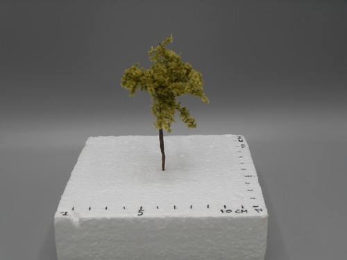 Arbre vert