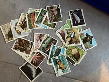 LOT DE 58 CARTES TOUS LES