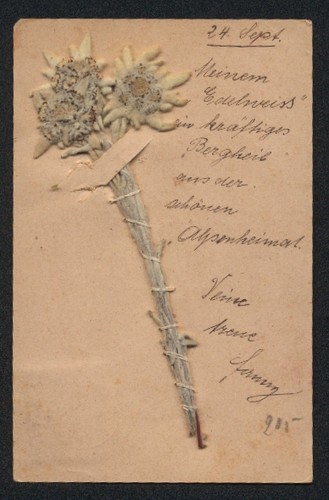 Carte postale fleurs - carte, de