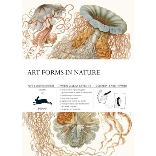Papiers créatifs - ,