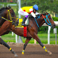 METHODE de TURF : MES