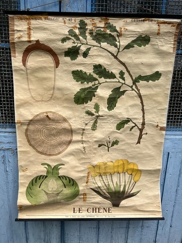 Affiche ancienne scolaire - affiche,