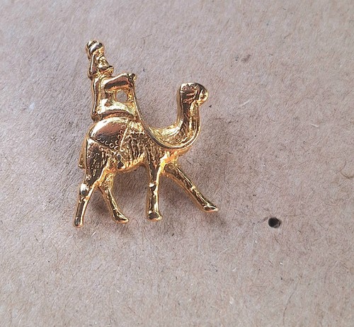 Wiseman man riding camel - wiseman,