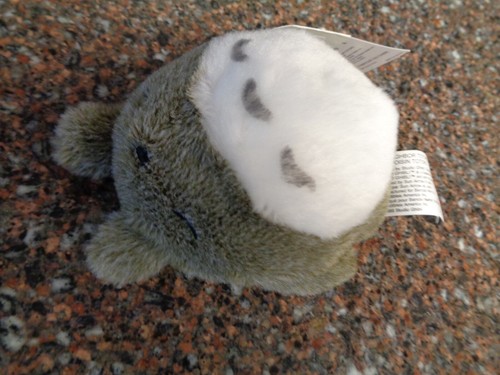 Neighbor totoro sleeping - my,