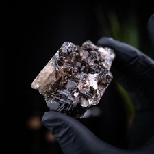 Quartz fumé squelette des alpes