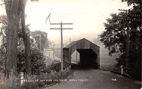 Royalton vermont hop vine - hop,