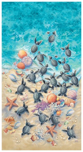 Sea turtle race safety - sea, to