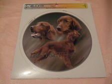 1 autocollant - motif chien