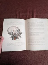 Anatomie Humaine – H