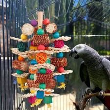 Jouet à mâcher interactif