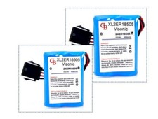 2 Batteries 4000mAh pour