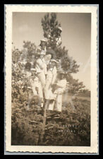 Photo, WW2, torpilleur "Mouette", 7 marins dans un arbre, Kristianand ; L163L
