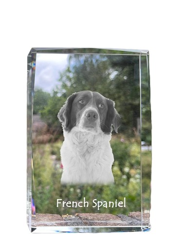 Epagneul français pendentif - français,