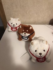 Mochishiba Shiba Inu Round