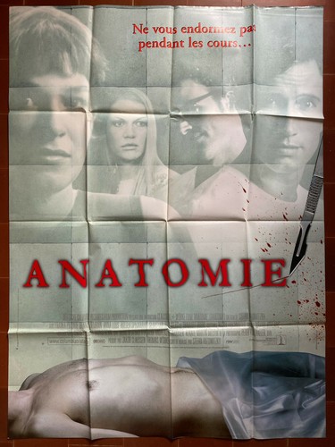 Affiche anatomie stefan - affiche,