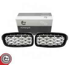 2x Grille Avant Gauche et
