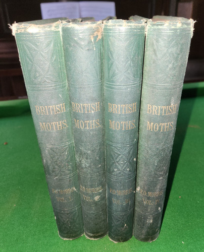 1872 natural history - history, of