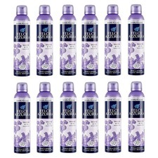 Felce azzurra lot - felce,
