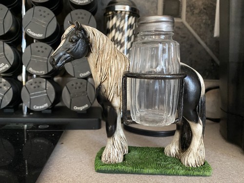 Gypsy vanner cob drum - gypsy,