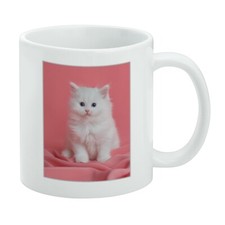 Persian Cat White Kitten on