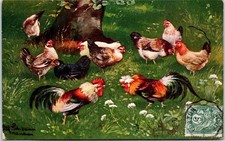 THEMES ANIMAUX - poules et coqs