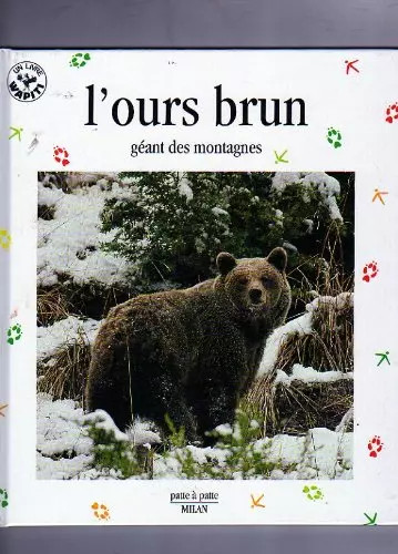 Ours brun géant des - brun,,