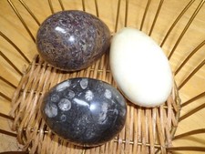 3 Assorted Black/White