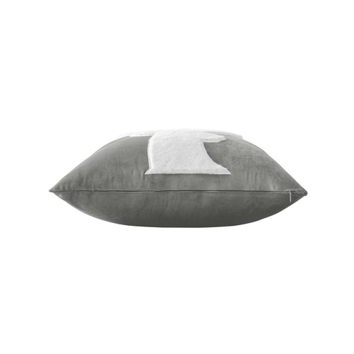 Coussin déco velours - coussin,