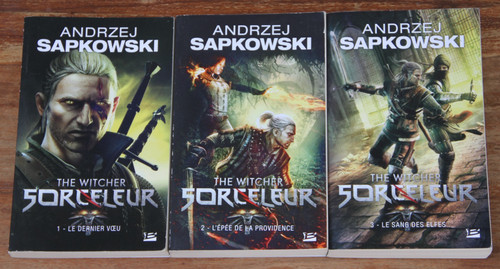 The witcher sorceleur - the,