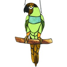 W10087 Nanday Conure Parrot