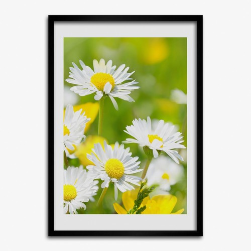 Photo mdf 50x70cm cadre - photo,
