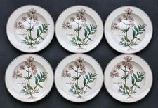 6 belles ASSIETTES CREUSES