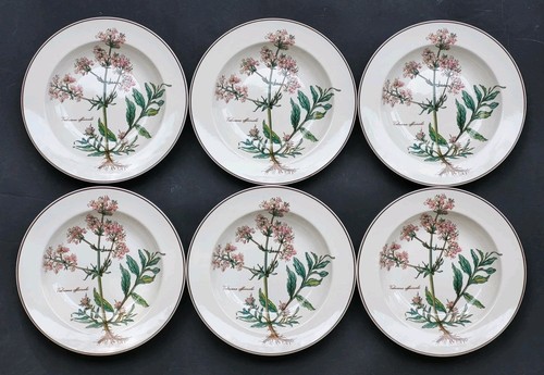 Belles assiettes creuses - 6,