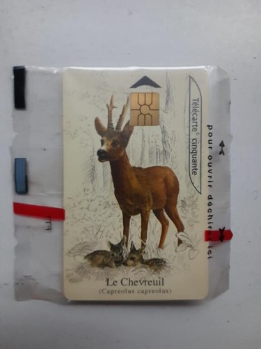 Rare carte téléphonique