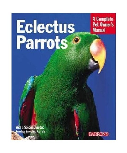 Eclectus parrots everything - eclectus, parrots: