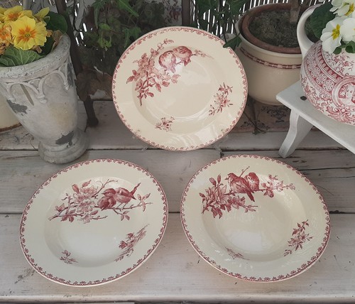 Assiettes creuses - 3,