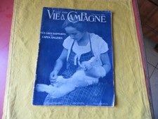 Les gros rapports du Lapin Angora - Vie à la Campagne - 1924