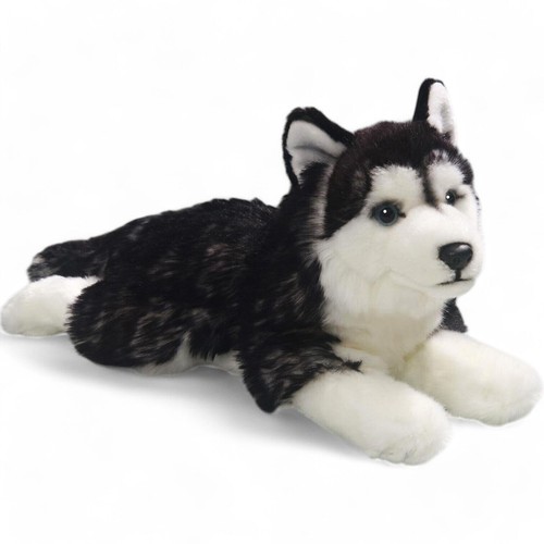 Carl dick husky - carl,