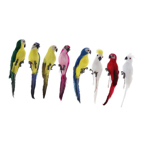 Oiseaux plumes de - à,