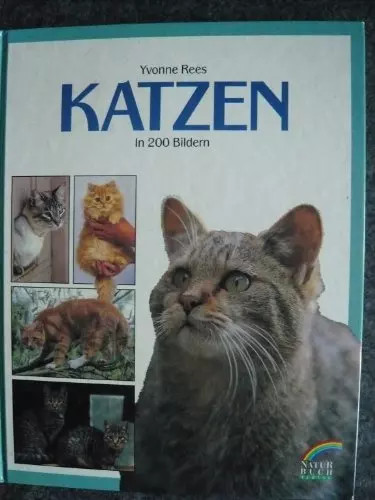 Katzen