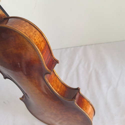 Stradivarius model ready - ready, to