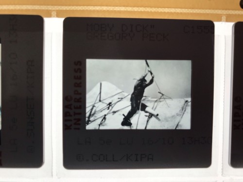 Moby dick gregory peck - dick,