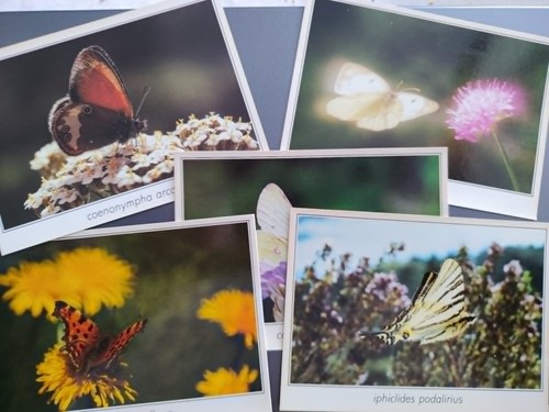 Cartes postales vintage - cartes, –