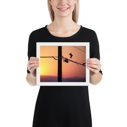 Morning love doves framed - love,