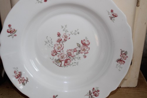 Grand plat creux - plat,