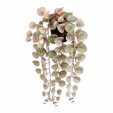 Plante décorative Mica Decorations Ceropegia Woodii 10 x 46 x 12 cm Artificie