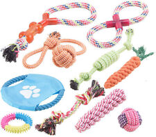 Lot de10 jouets pour chiens 
