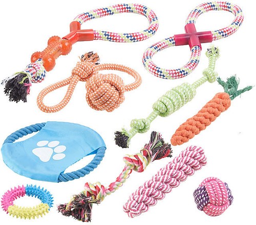 Lot de10 jouets pour - , chiens